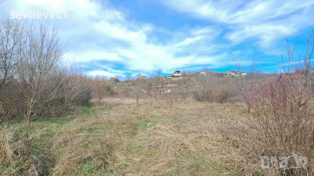 Продавам два съседни парцела в местност Севлиевски лозя 