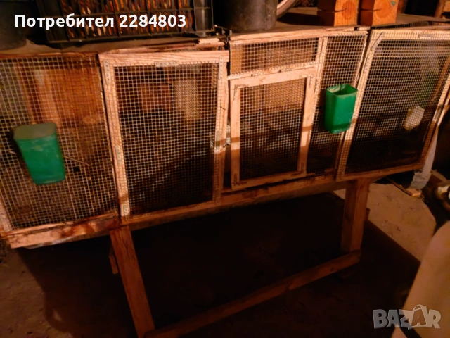 Клетла за зайци