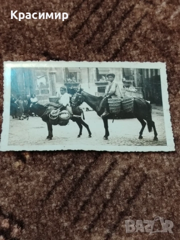 Антикварна Снимка Началото на 20 Век 