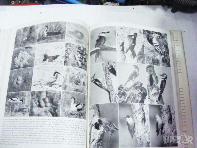 Книги на немски език, снимка 10 - Енциклопедии, справочници - 44728217