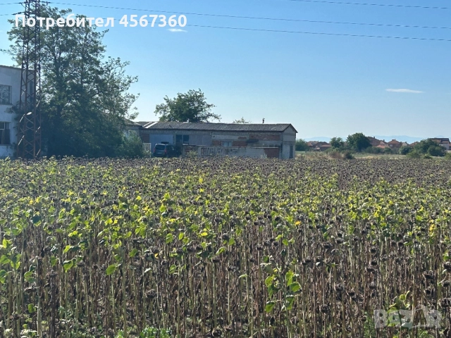 Продажба на производствено помещение в гр. Раковски, обл. Пловдив, снимка 13 - Производствени сгради - 51393431