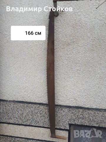 Трион - шаран над 80 годишен