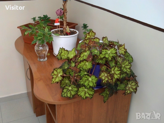 фотоапарат MAGINON Splash 8    8MPx, снимка 16 - Фотоапарати - 52953703