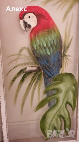 Голяма картина папагал, масло, дървена състарена рамка– 120см/ 60см, снимка 5 - Картини - 38505051
