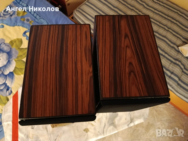 Продавам тонколони SWANS DIY 2.2, снимка 6 - Тонколони - 54182318