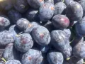 Продавам сини сливи., снимка 2