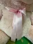 Розова мечка голяма , снимка 3