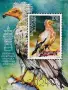 България 2024 - Египетски лешояд - 2 блока MNH, снимка 3