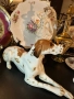 Lomonosov USSR Circa 1950 porcelain English Pointer dog - изящен и огромен сетер Код P1681, снимка 6