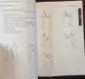 Филипинското бойно изкуство Ескрима / Ahuapan Combat Eskrima. Art Martial Philippin, снимка 4