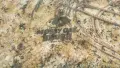 GAME WINNER MOSSYOAK CAMO T-Shirt размер L за лов тениска - 2950, снимка 11