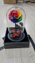 Омагьосаната роза – лимитирано издание Вечна роза - Цветна радост в подаръчна опаковка, снимка 1 - Стайни растения - 44560338