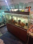 Продавам аквариомите по 50лв стила жители по 250лв, снимка 8