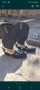 Мъжки обувки, естествена змийска кожа, снимка 1 - Маратонки - 44781674