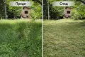 Почистване Дърводобив и Др, снимка 16