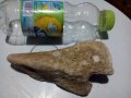 Антика,вкаменелост от тиранозавър , снимка 1 - Антикварни и старинни предмети - 30754055