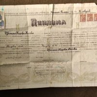 Продавам стар документ :Диплома Институт за прогимназиални учители Пловдив 1945, снимка 1 - Колекции - 33753106