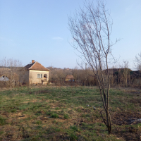 Двуетажна къща в село Добролево с голям парцел, снимка 4 - Къщи - 44688536