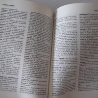 Книга"CERVANTES DICCIONARIO MANUAL...-TOMO II-F.ALVERO"-934с, снимка 7 - Чуждоезиково обучение, речници - 40683050