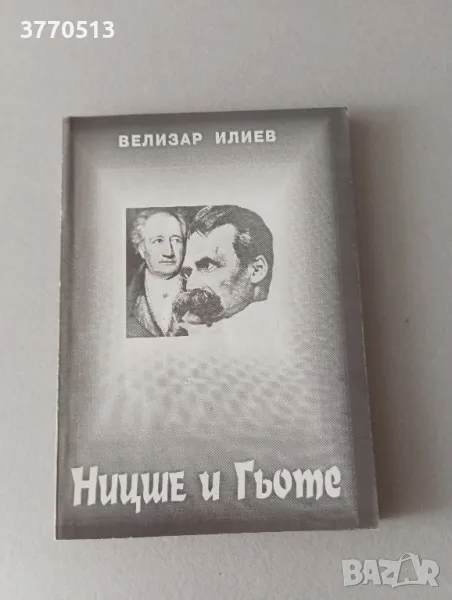 "Ницше и Гьоте" - Велизар Илиев , снимка 1
