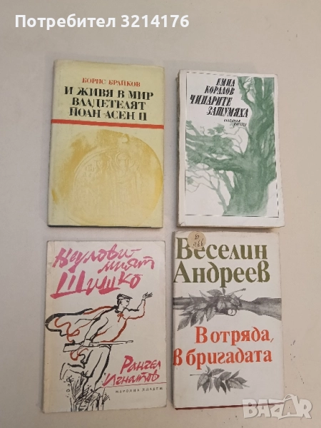 Неуловимият Шишко - Рангел Игнатов, снимка 1