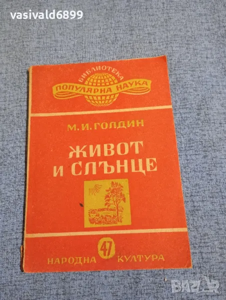 Голдин - Живот и слънце , снимка 1