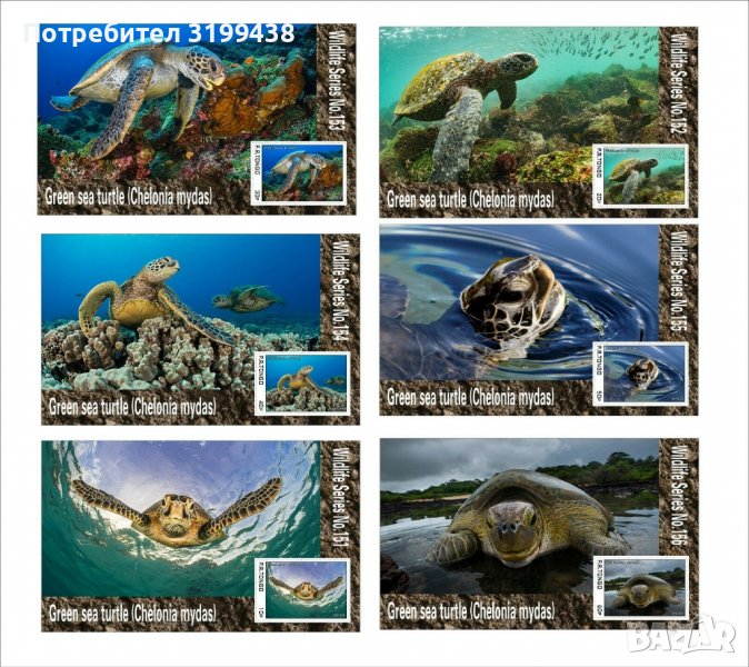 Чисти блокове Фауна Зелена морска костенурка 2020 от Тонго, снимка 1