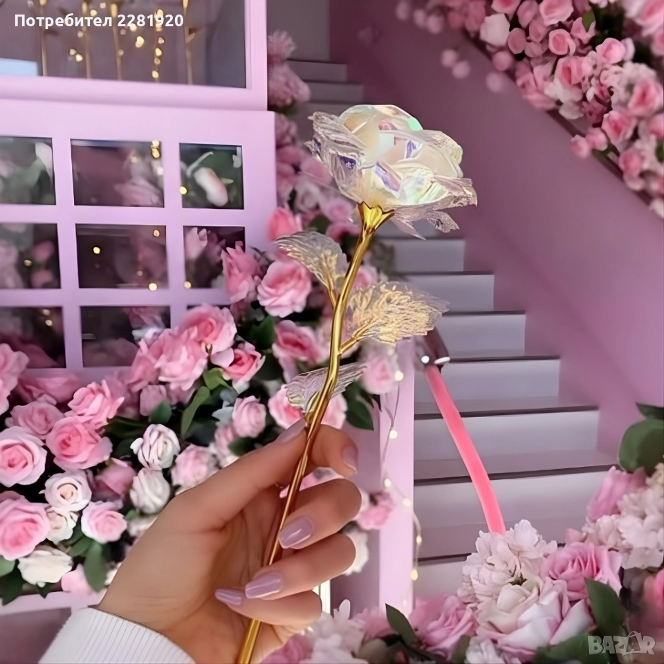 Роза в цветовете на дъгата – изискан подарък за любов и благодарност, снимка 1