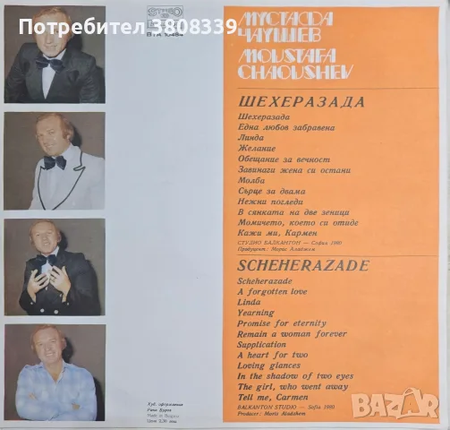 Грамофонни плочи, снимка 6 - Грамофонни плочи - 56374291