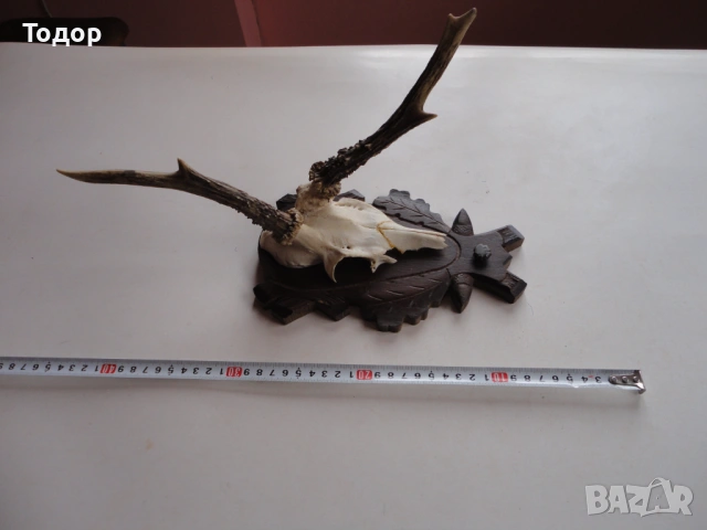 Ловен трофей рога дърворезба 14 