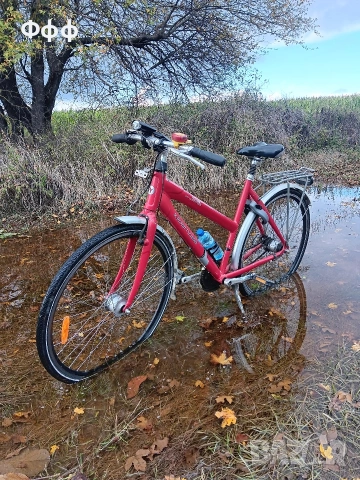 Колело Велосипед Pegasus 24 цола и 28 цола, снимка 13 - Велосипеди - 53993533