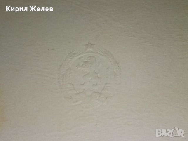 ОФИЦИАЛНА ПОЗДРАВИТЕЛНА от ТОДОР ЖИВКОВ НОВОГОДИШНА КАРТИЧКА от ДЪРЖАВНИЯ СЪВЕТ на НРБ Рядка! 35495 , снимка 3 - Филателия - 39398942
