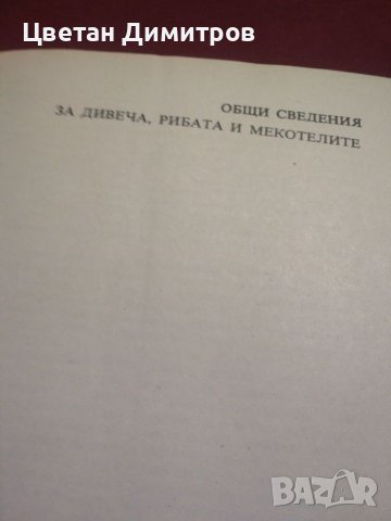 Ловно--рибарска кухня, снимка 5 - Други - 36915334
