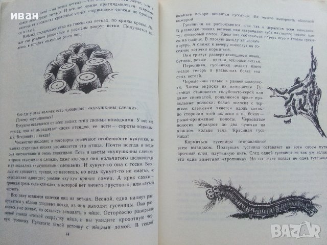Занимательная Ентомология - Н.Плавильщиков - 1990г., снимка 6 - Детски книжки - 36936231