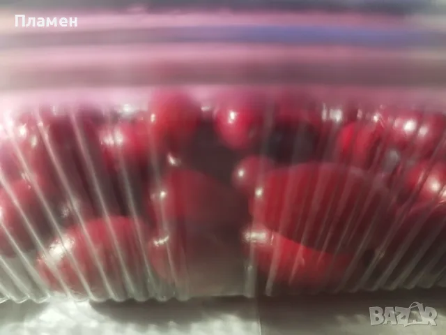 Дренки-много едър дрян, снимка 4 - Домашни продукти - 55739235