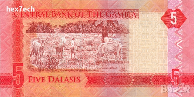 ❤️ ⭐ Гамбия 2015 5 даласи UNC нова ⭐ ❤️, снимка 3 - Нумизматика и бонистика - 52886935