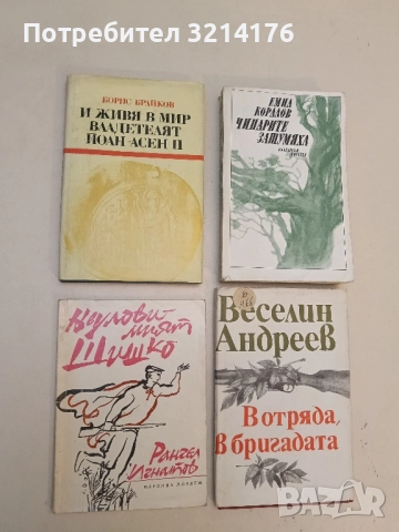 Неуловимият Шишко - Рангел Игнатов