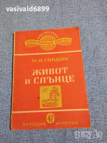 Голдин - Живот и слънце 