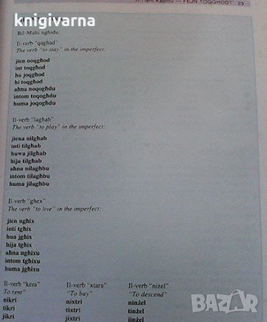 Merhba bik Antoinetle Camilleri, снимка 3 - Чуждоезиково обучение, речници - 35261916