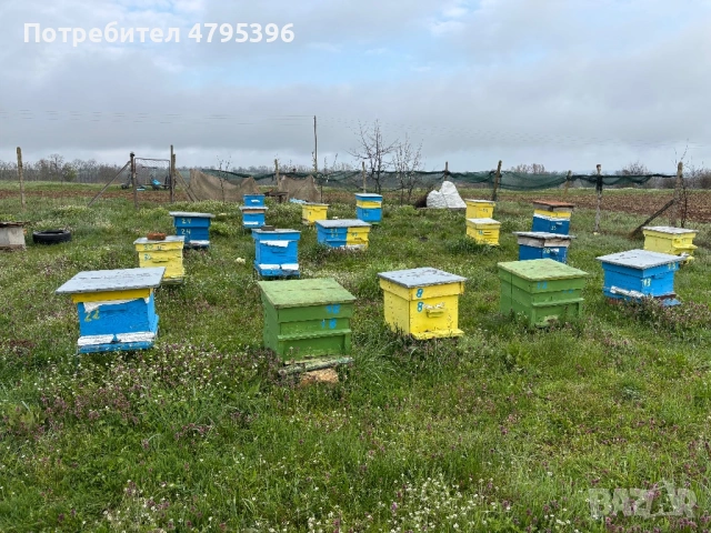 Кошери с пчели, снимка 2 - За пчели - 54177978