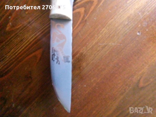 Нож, снимка 3 - Ножове - 35412207