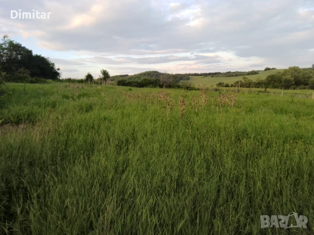 Продавам Парцел 1600 кв.м с.Дралфа, снимка 2 - Парцели - 50492776