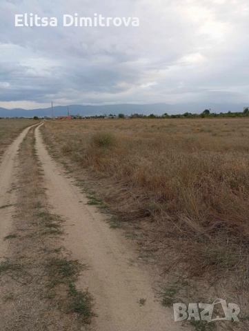 Под наем земеделска земя за развиване на бизнес