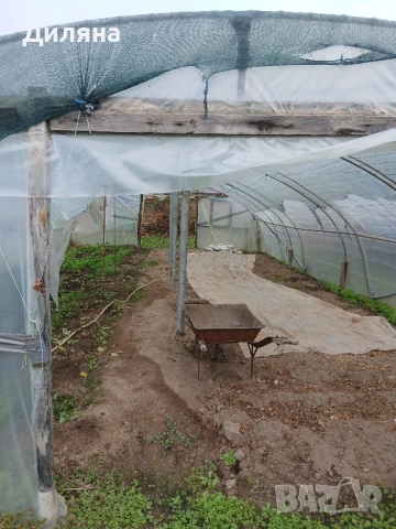 оранжерия, снимка 2 - Оранжерии - 52385900