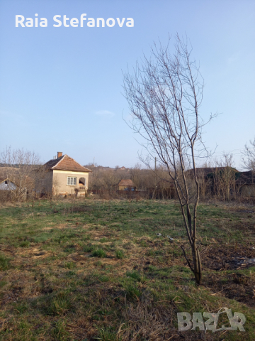 Двуетажна къща в село Добролево с голям парцел, снимка 4 - Къщи - 44688536