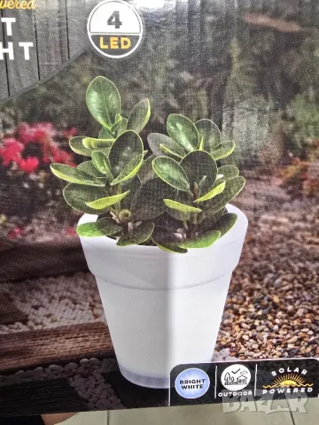 соларни лампи саксия, снимка 3 - Соларни лампи - 49865145