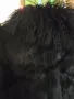 Палто естествена кожа с богата яка от лама., снимка 3
