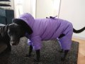 Дебел гащеризон за куче, снимка 3