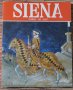 Siena Town of Art Сиена История на изкуството, снимка 1 - Специализирана литература - 29665678