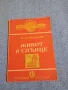 Голдин - Живот и слънце , снимка 1
